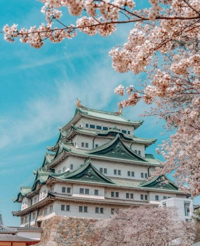 名古屋支店の一ノ瀬です。